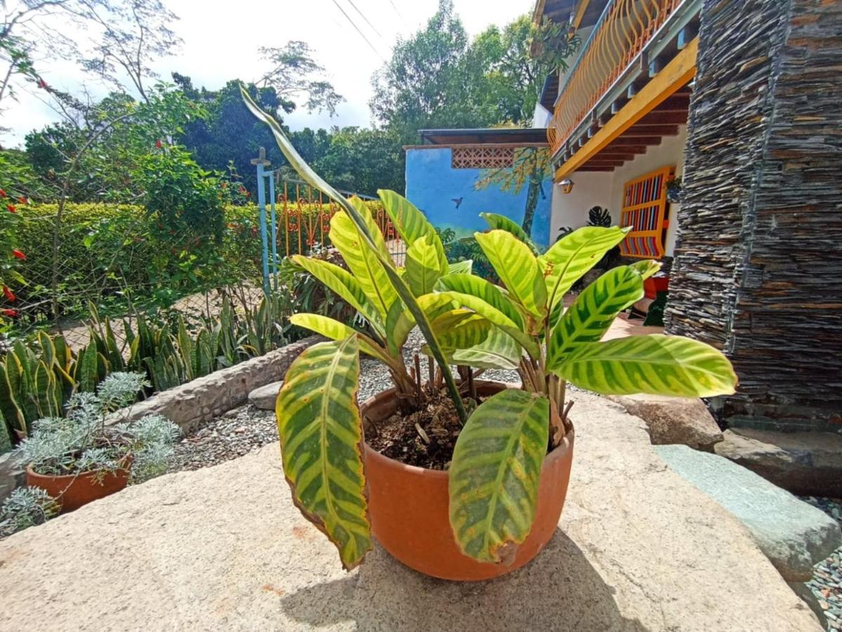 Casa De Las Rocas Hostel Jardín Exteriör bild